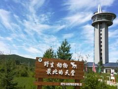 -北极村旅游风景区