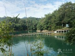 -广州市流溪河国家森林公园