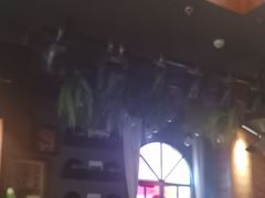 -同仁四季椰子鸡(无锡滨湖万象汇店)
