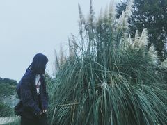 -月湖风景区