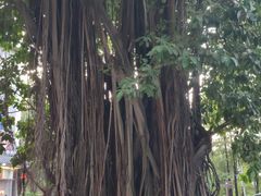 -潮喜竹溪荔湖酒家(荔枝湾店)