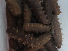 -宫品海参专卖店(黄浦老西门店)