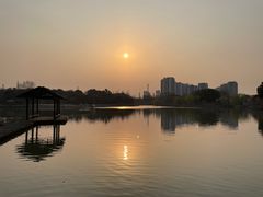 -圩墩遗址公园