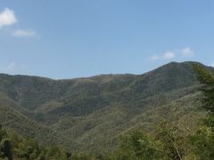 -宁波浙东大竹海景区