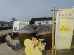 -苏州市吴中区光福窑上花果蜜饯厂