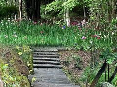 -广州白江湖森林公园