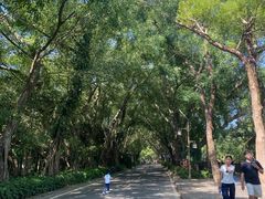 -大屏嶂森林公园