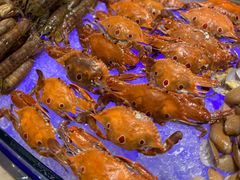 -好日子皇冠假日酒店·君怡咖啡厅(特美思大厦店)