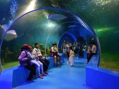 -石林冰雪海洋世界