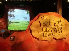 -珠海横琴国家地理探险家中心(创新方)