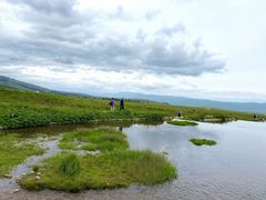 -伊犁河风景区