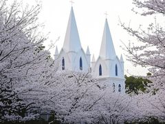 -团城山公园