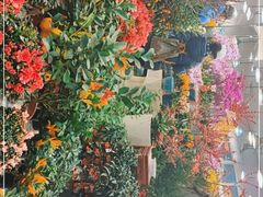 -双季花艺园艺市场(浦东店)