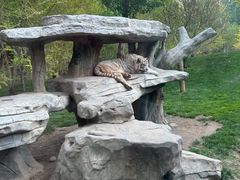 -北京野生动物园