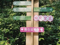 -杭州半山国家森林公园
