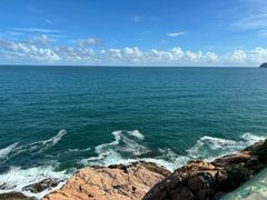 -广东惠东海龟国家级自然保护区