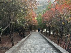 -红螺寺
