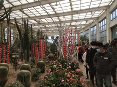 -石家庄市植物园