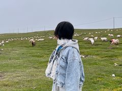 -橡皮山