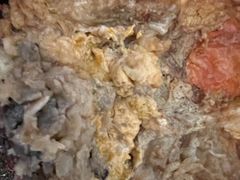 -阿英煲(凉城路店)