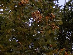 -白鹭湾湿地公园