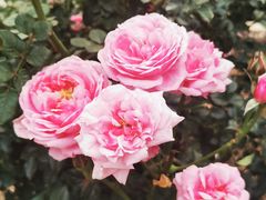 -人民公园(罗湖区)