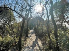 -杭州半山国家森林公园