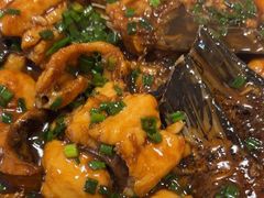 -全乐鱼馆·淳牌有机鱼直营店