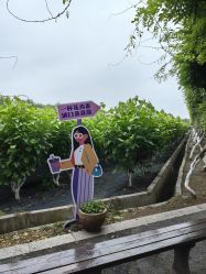 -太湖雪蚕桑文化园