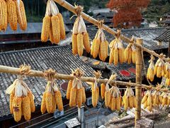 -林坑古村落