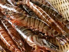 -镹·鱼料理  国产鱼使用店