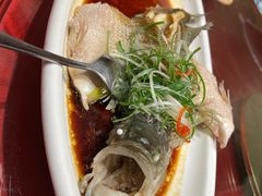 -燕郊烧鸽子(酷车小镇店)