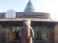 -济州岛泰迪熊博物馆