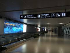 -温州龙湾国际机场