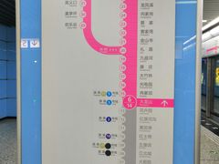 -大龙山(地铁站)