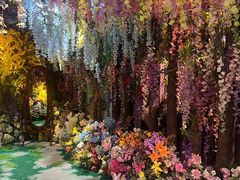 -正佳雨林生态植物园