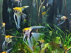 -成都浩海立方海洋公园