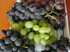 -白鹿原葡萄主题公园