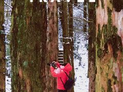 -山王坪喀斯特国家生态公园