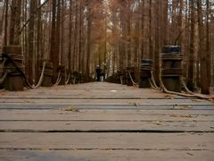 -桤木河湿地公园