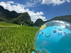 -万峰林风景区