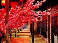 -鸡毛店·川菜(双楠店)