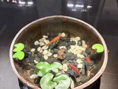 -曲水兰亭(北京四惠店)