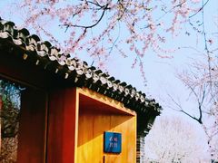 -三里河公园