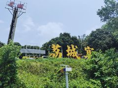 -荔城生鲜盛宴(番禺旗舰店)
