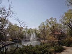 -东郊湿地公园