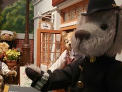 -济州岛泰迪熊博物馆