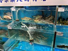 -胖姐渔村(中源大道店)