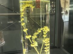 -广东中医药博物馆