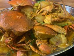 -瑞丽活螃蟹(芒市店)